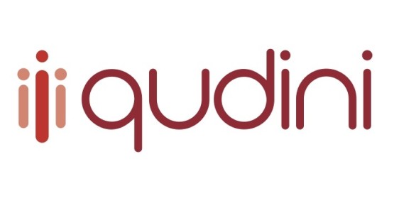 Qudini-Logo-Positive-CMYK Qudini logo