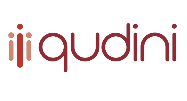 Qudini logo