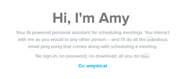 Amy chatbot-Retail Technology