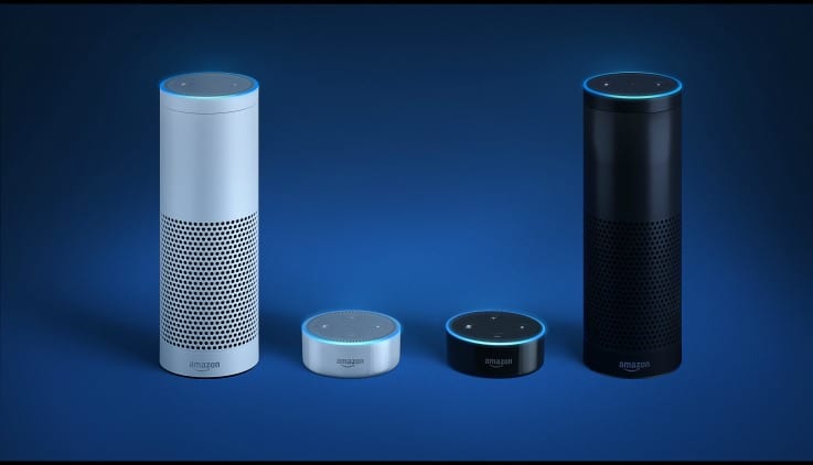 Echo voice retail voice commerce