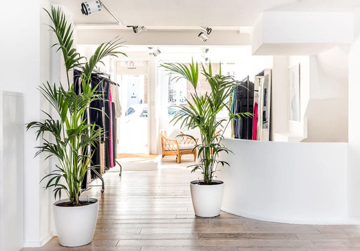 Insider Trends London Retail Openings Galvan - Insider Trends | Retail Consultancy