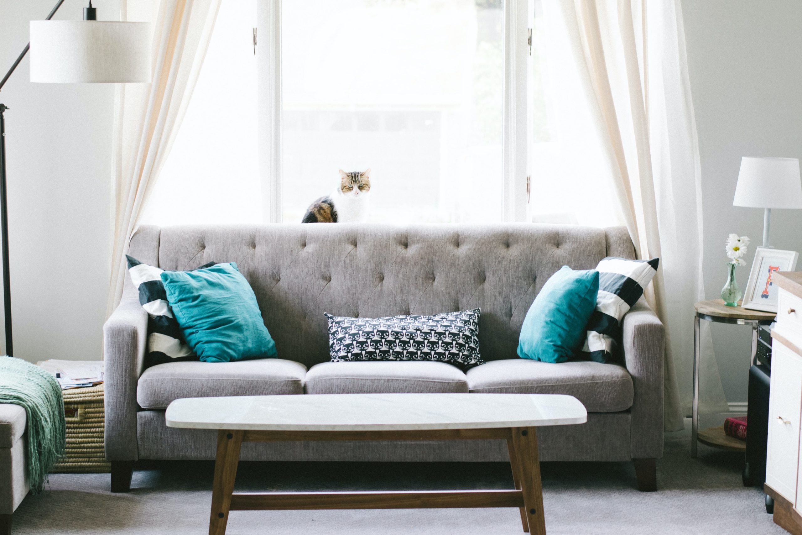 furniture retail trends scaled - Insider Trends | Retail Consultancy